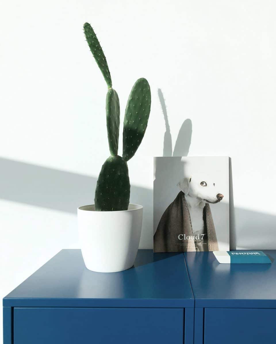 Cor do Ano Pantone 2020 19-4052 Classic Blue By Refresher Club 59 Cor do Ano Pantone 2020 19 4052 Classic Blue 10