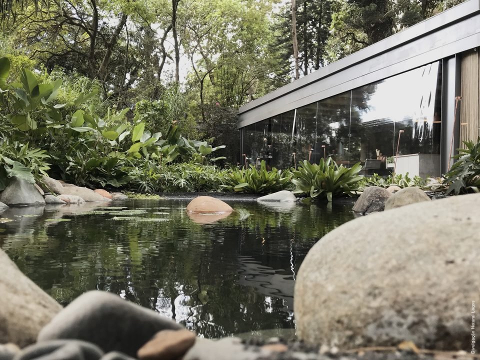 Lago Negro Natural Lagos Casa Cor 2018 14