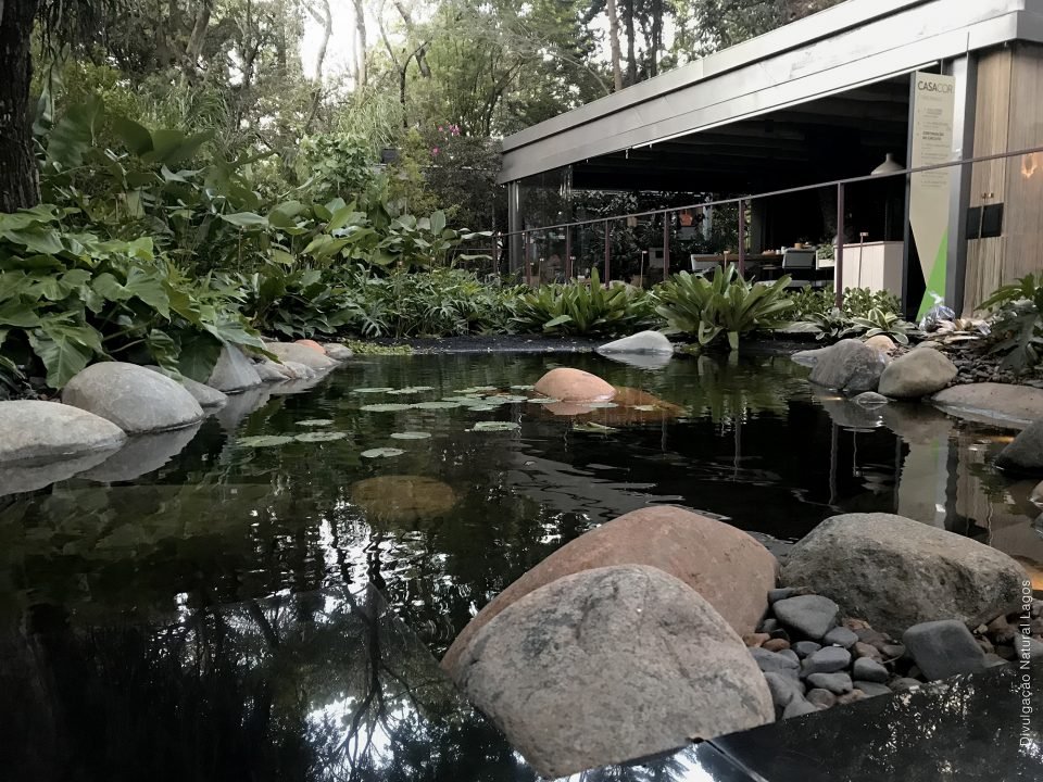 Lago Negro Natural Lagos Casa Cor 2018 2