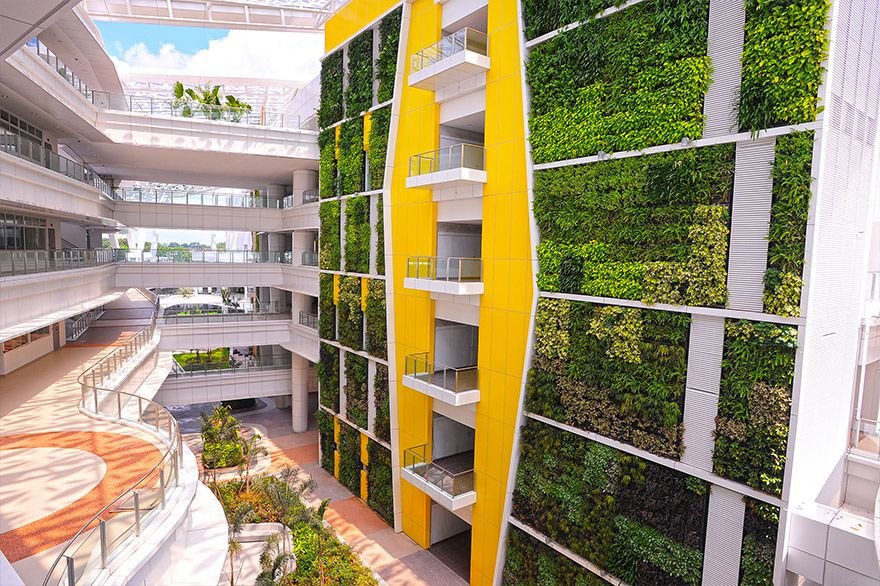 Jardim Vertical: Tudo que você precisa saber para ter um jardim vertical passo a passo em sua casa, apartamento ou no trabalho! 57 Jardim Vertical em Escolas e áreas de circulação internas