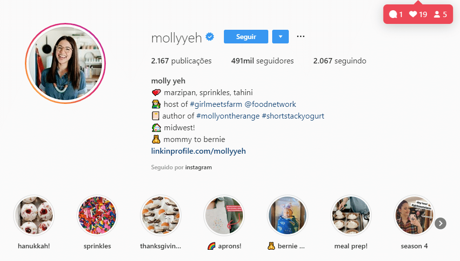 Destaques no Instagram | Como criar capas para destaques no Instagram, passo a passo 27 Destaques no Instagram do Perfil Mollyyeh