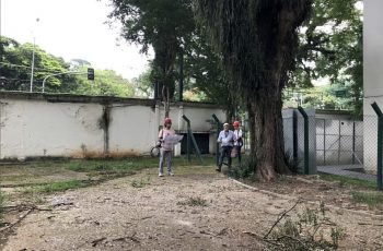 Lago Negro, temático brasileiro, é destaque na Casa Cor SP 2018 32 1 Antes Lago Casa Cor SP 2018
