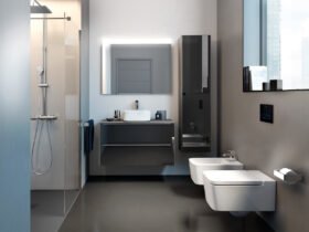 Assento sanitário: Como escolher o modelo ideal para a bacia sanitária 48 Como escolher Assento Sanitário