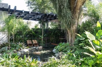 Lago Negro, temático brasileiro, é destaque na Casa Cor SP 2018 35 Edson Lorenzo Kalil Ferre Paisagismo e Natural Lagos