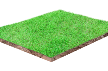 Etapas de um levantamento