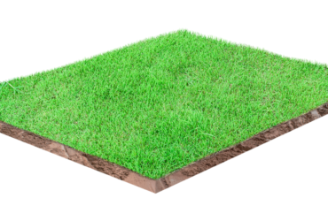 Etapas de um levantamento