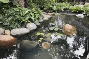 Lago Negro, temático brasileiro, é destaque na Casa Cor SP 2018 38 Lago Negro Natural Lagos Casa Cor 2018 12