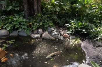 Lago Negro, temático brasileiro, é destaque na Casa Cor SP 2018 39 Lago Negro Natural Lagos Casa Cor 2018 13
