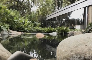 Lago Negro, temático brasileiro, é destaque na Casa Cor SP 2018 40 Lago Negro Natural Lagos Casa Cor 2018 14