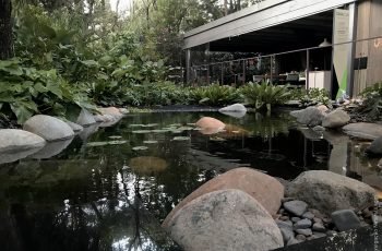 Lago Negro, temático brasileiro, é destaque na Casa Cor SP 2018 36 Lago Negro Natural Lagos Casa Cor 2018 2