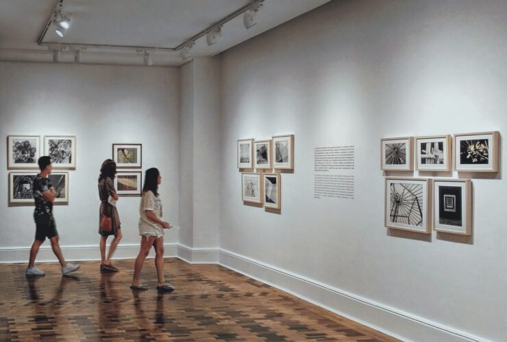 Como fazer arte com quadros 45 a arte dos quadros - Sua galeria particular nos ambientes - capa
