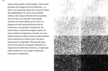 Um Olhar Criativo - Desenvolvendo Habilidades Inteligentes 27 imagem 01